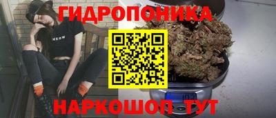 скорость Заводоуковск